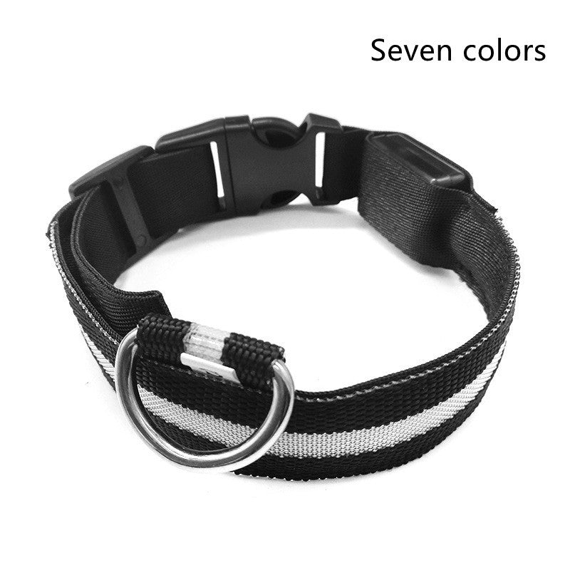 Nylon LED Dog Collar – Glow-in-the-Dark Adjustable Safety Leash for Night Walks