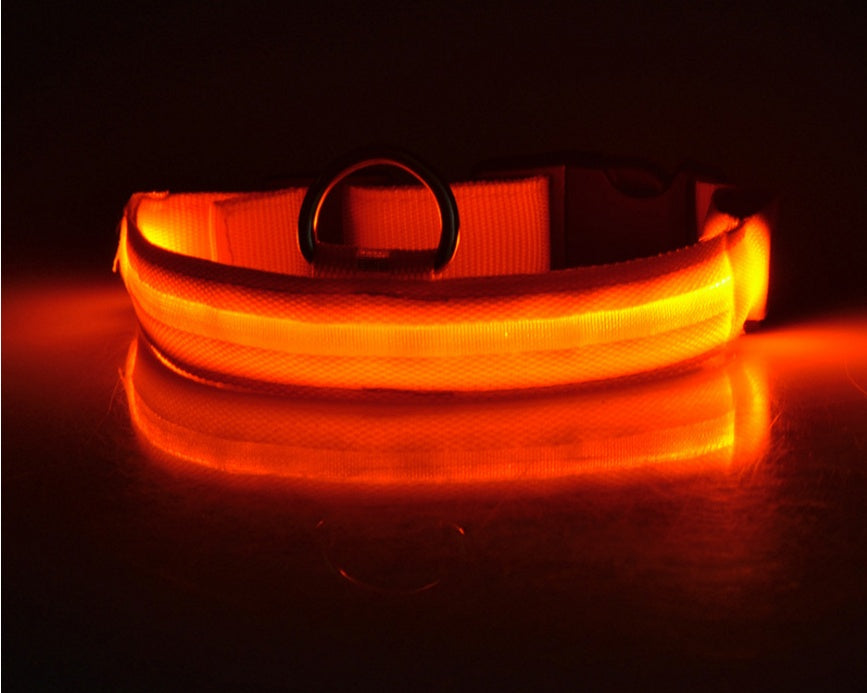 Nylon LED Dog Collar – Glow-in-the-Dark Adjustable Safety Leash for Night Walks