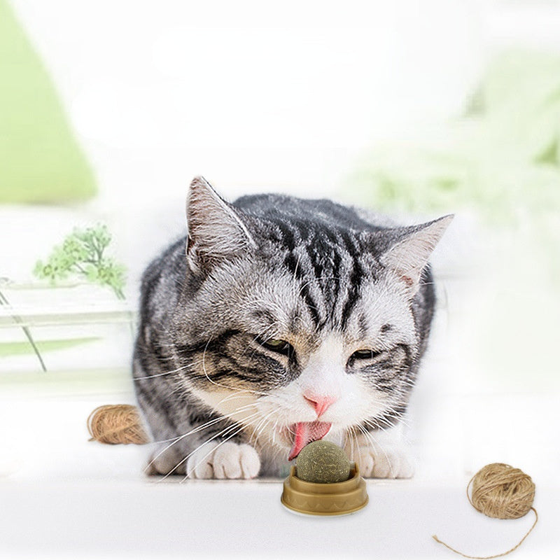 Premium Organic Catnip Toy for Cats