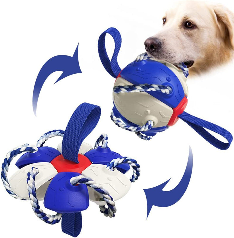 Interactive Dog Soccer Ball with Tabs – Inflated Outdoor Training Toy for Active Dogs