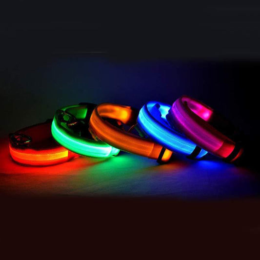 Nylon LED Dog Collar – Glow-in-the-Dark Adjustable Safety Leash for Night Walks