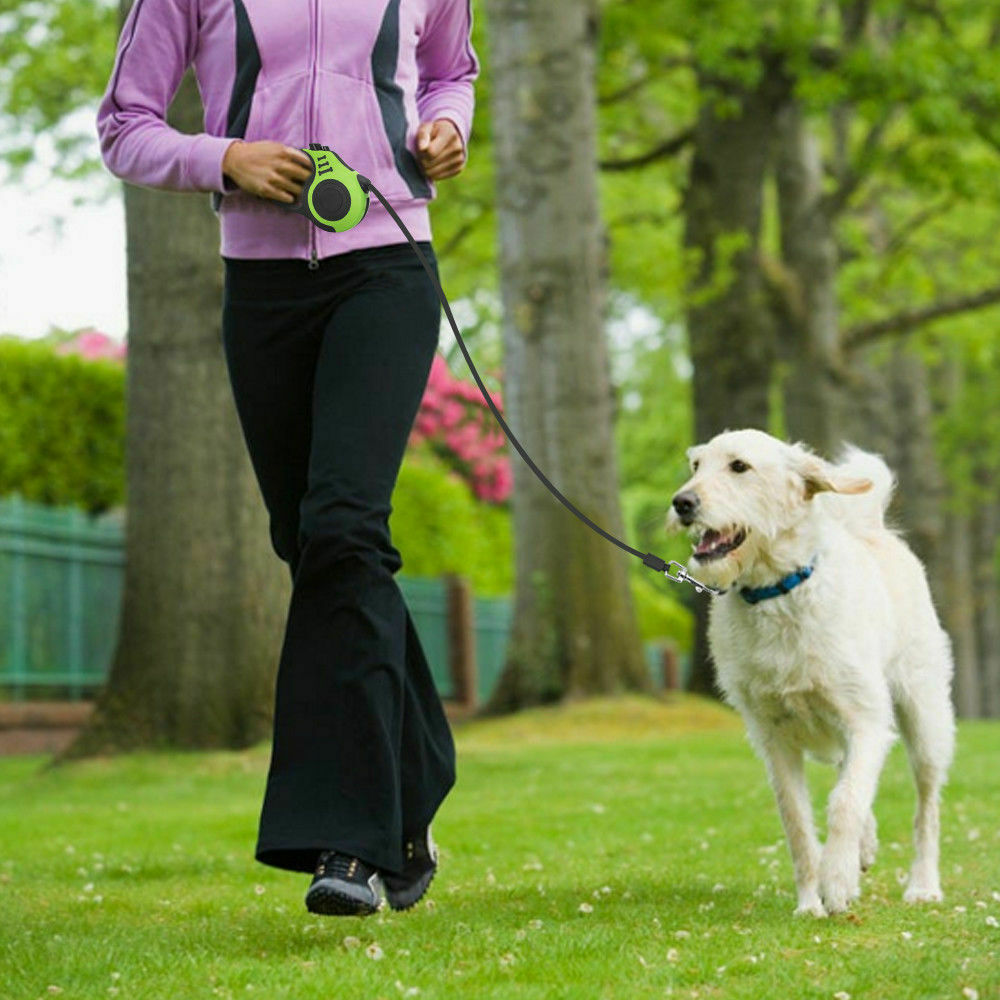 Retractable Automatic Dog Leash – Hands-Free Walking Collar Lead