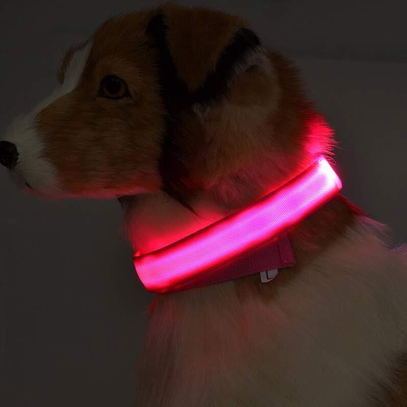 Nylon LED Dog Collar – Glow-in-the-Dark Adjustable Safety Leash for Night Walks