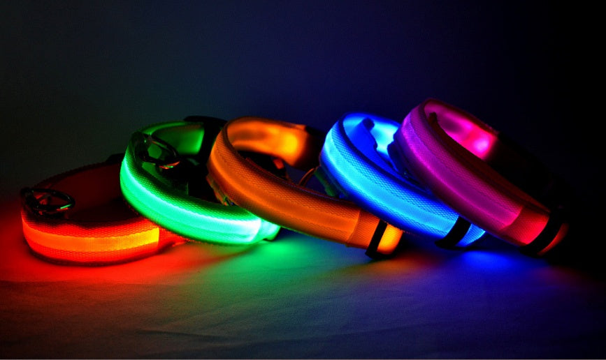 Nylon LED Dog Collar – Glow-in-the-Dark Adjustable Safety Leash for Night Walks