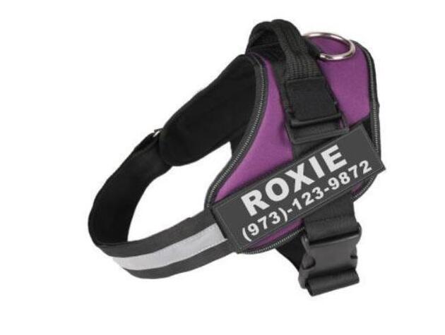 Custom No-Pull Reflective Dog Harness – Adjustable Breathable Vest for Small & Large Dogs