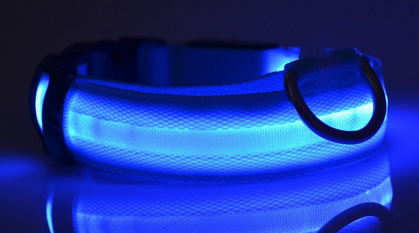 Nylon LED Dog Collar – Glow-in-the-Dark Adjustable Safety Leash for Night Walks