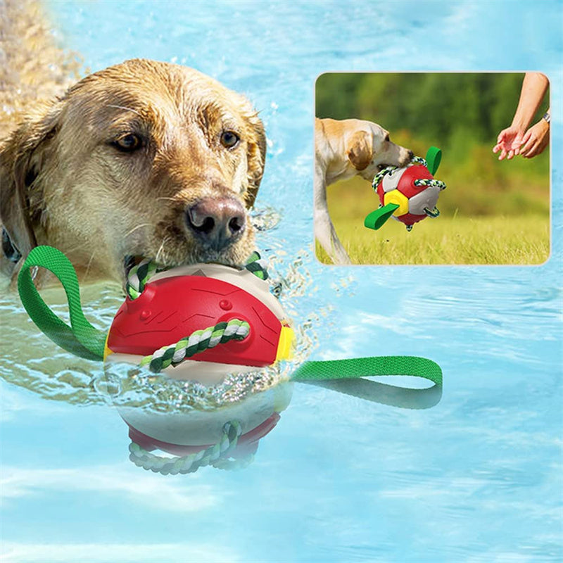 Interactive Dog Soccer Ball with Tabs – Inflated Outdoor Training Toy for Active Dogs