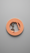 Apricot Nylon Everyday Leash