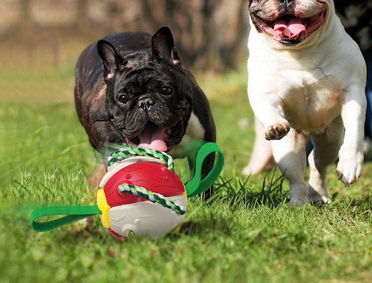 Interactive Dog Soccer Ball with Tabs – Inflated Outdoor Training Toy for Active Dogs