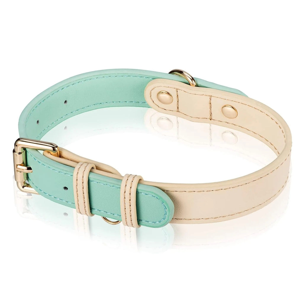 Two-Tone Leather Pet Collar