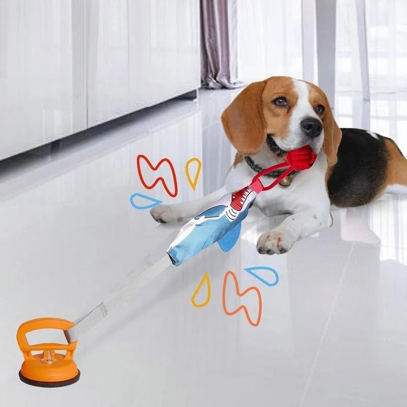 Suction Cup Shark Tug Toy for Dogs