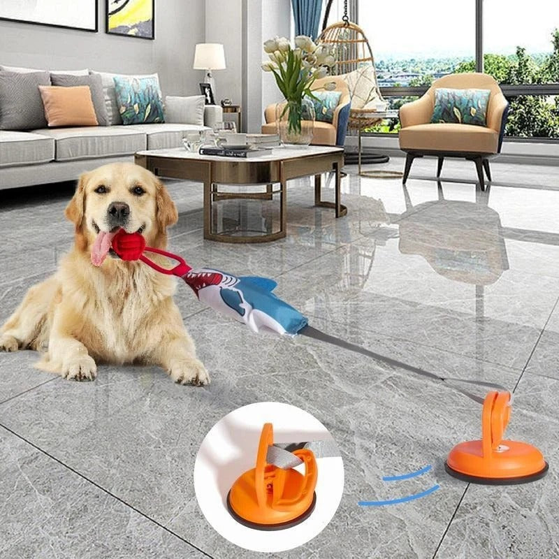 Suction Cup Shark Tug Toy for Dogs