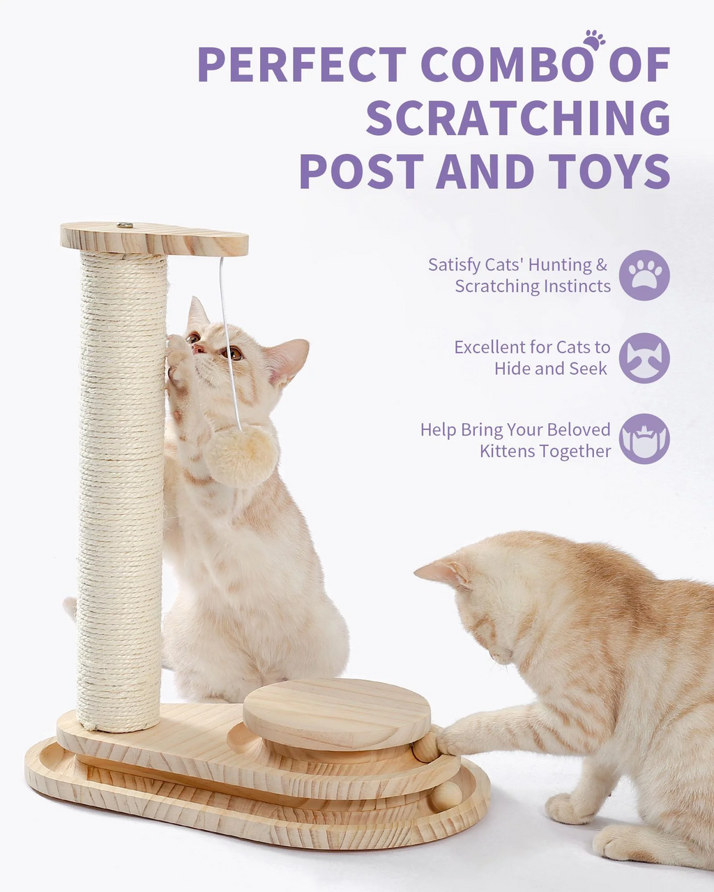 Indoor Cat Soft Scratching Board And Interactive Ball Track Toy Cat Rest And Grooming Supplies