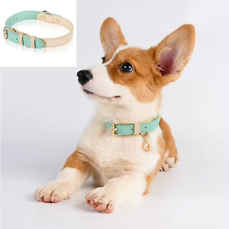 Two-Tone Leather Pet Collar
