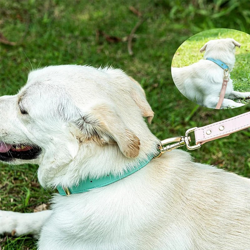 Two-Tone Leather Pet Collar