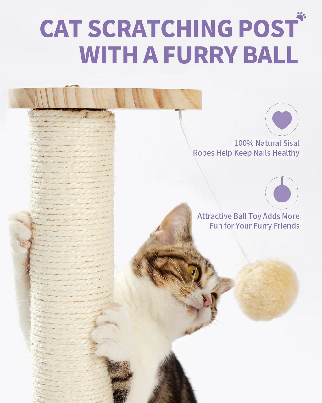 Indoor Cat Soft Scratching Board And Interactive Ball Track Toy Cat Rest And Grooming Supplies