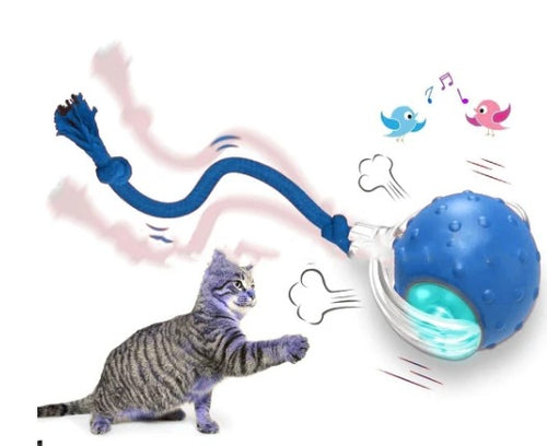 Interactive Cat Toy Ball Super Drive Cat Rolling Ball