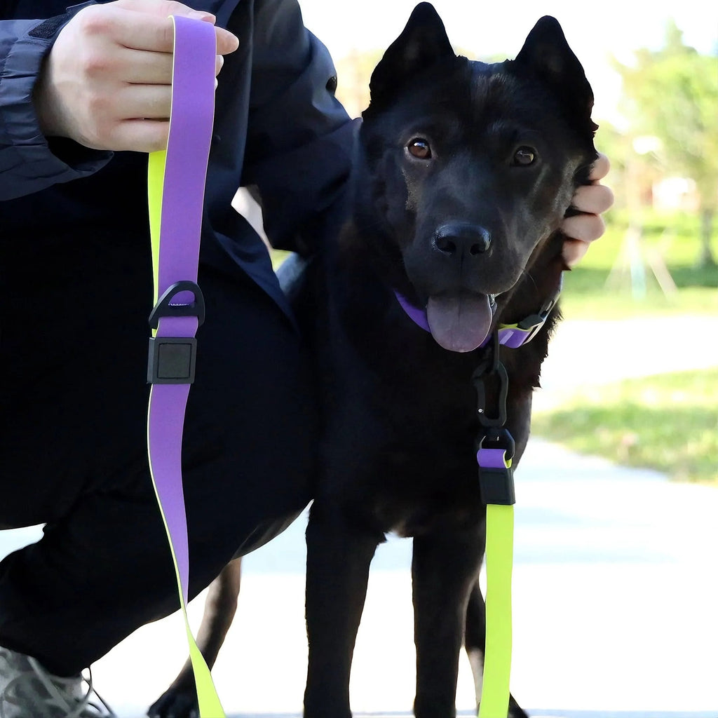 Honeycomb Embossed Dual-Color Pet Leash Set