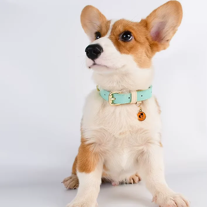 Two-Tone Leather Pet Collar