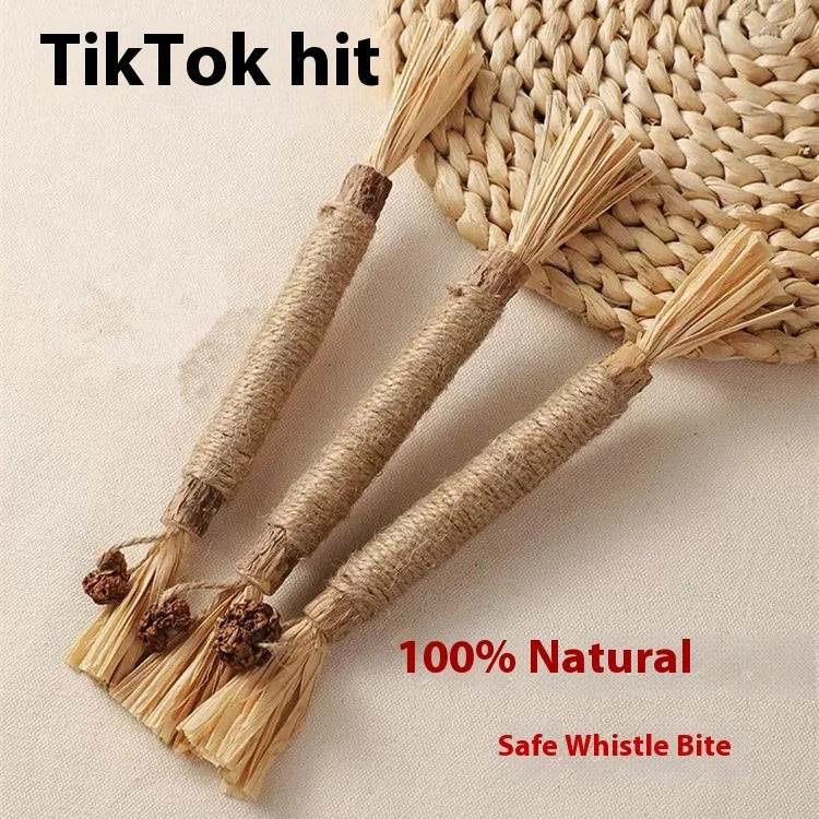 Funny Cat Molar Bite Stick Toy