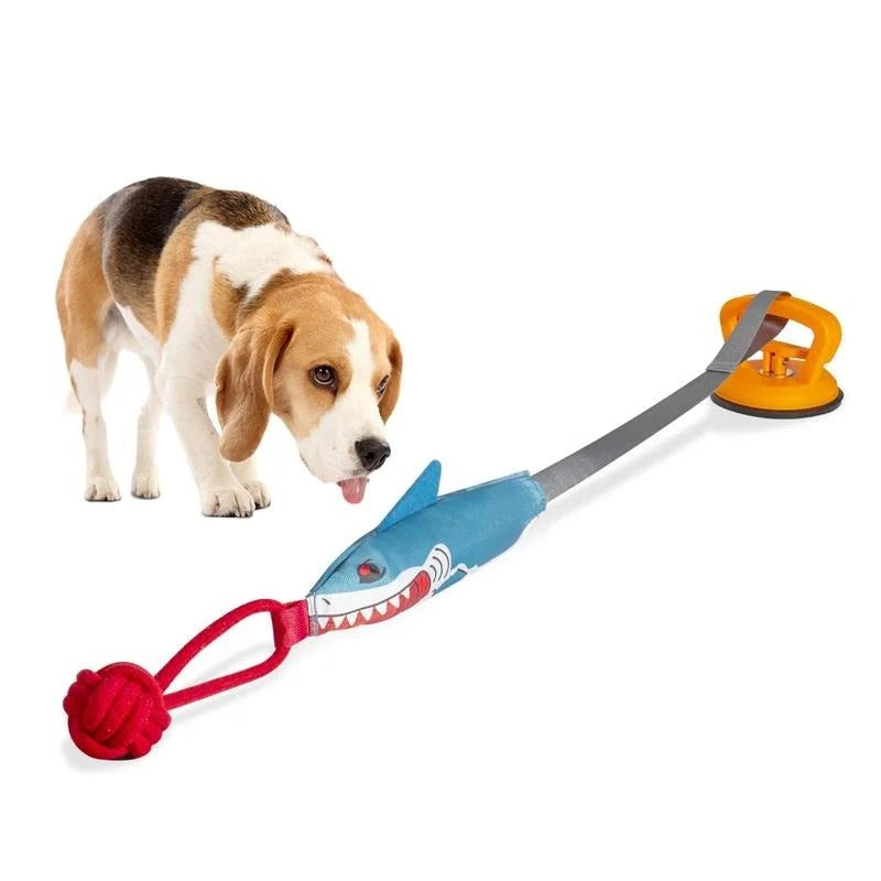 Suction Cup Shark Tug Toy for Dogs